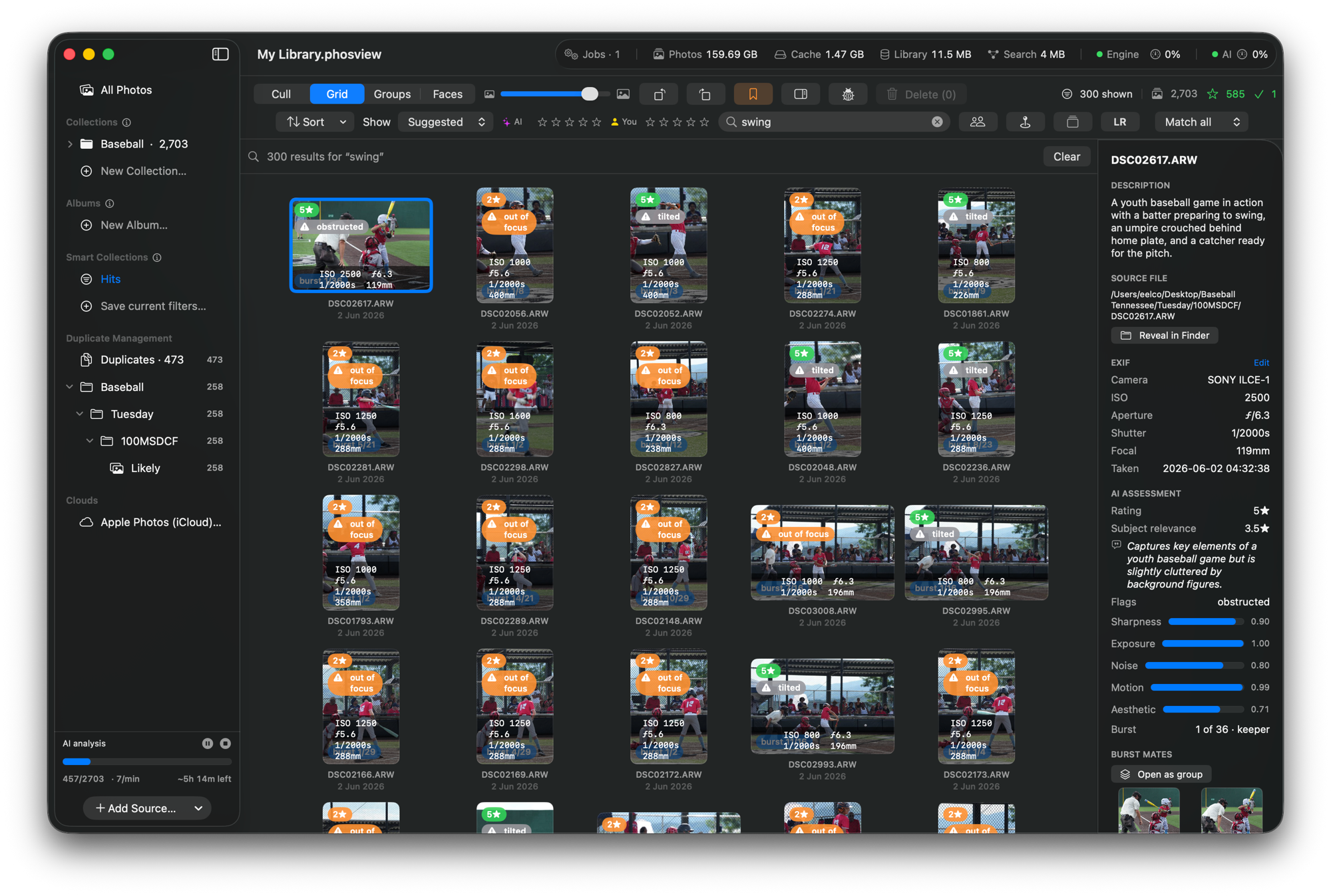Phosview culling a photo library on macOS